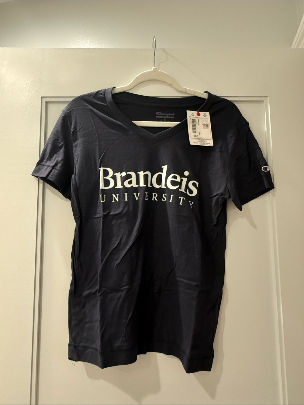 Champion Navy Brandeis University V-Neck Tee